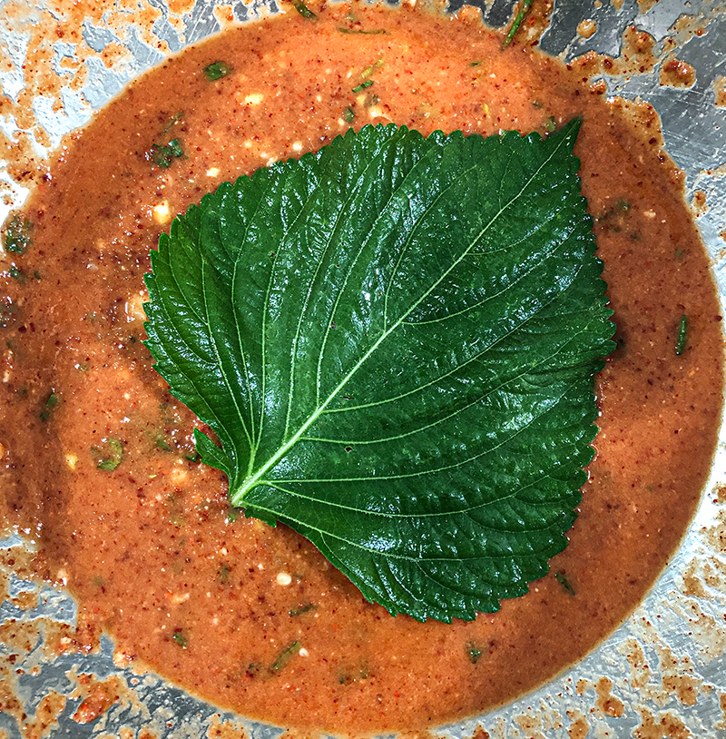 kimchi perille shiso fermentation lactofermentation