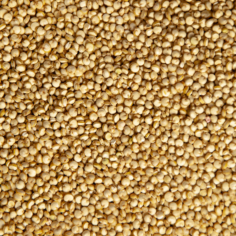 Miso Quinoa – Image 2
